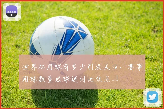 世界杯用球有多少引发关注,赛事用球数量成球迷讨论焦点_1