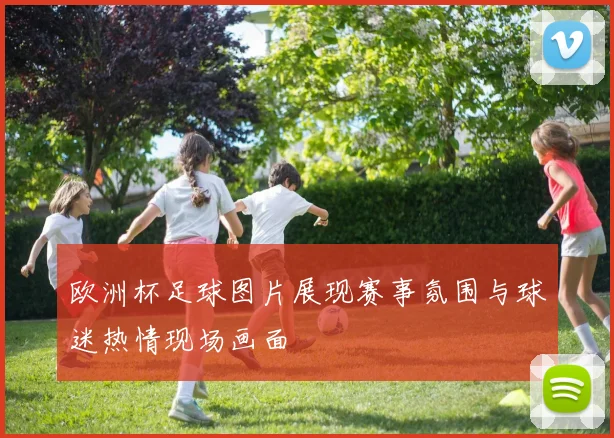 欧洲杯足球图片展现赛事氛围与球迷热情现场画面