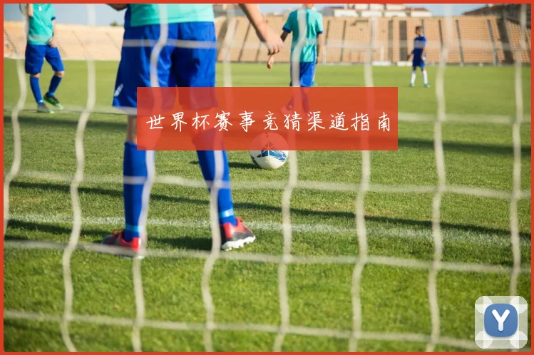世界杯赛事竞猜渠道指南
