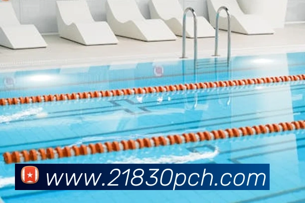 App Interface Preview